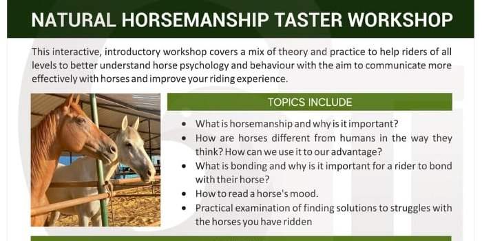 Natural Horsemanship Taster Workshop