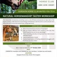 Natural Horsemanship Taster Workshop