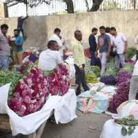 Sortie Photo - Marché aux fleurs