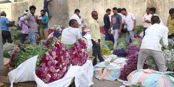 Sortie Photo - Marché aux fleurs