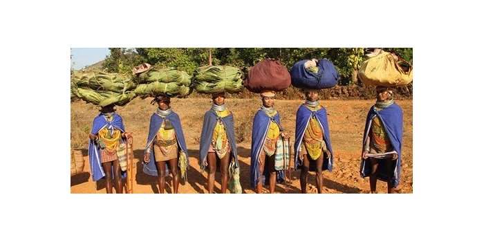 A la découverte de l'Odisha et de la culture Adivasi