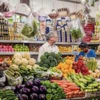 Visite des marchés 