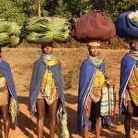 A la découverte de l'Odisha et de la culture Adivasi