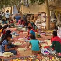 Visite des marchés - Marché aux fleurs de Ghazipur