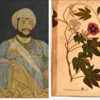 Exposition contemporaine "Company Painting - Visual memoirs of 19th century India" au Musée National