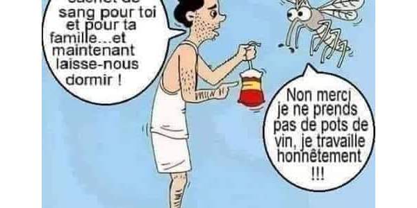 Il est de retour ,le moustique !