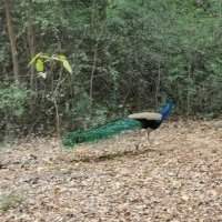 A la découverte de la Nature - Une marche au parc 