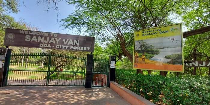 Nature et Découverte -La marche au parc SANJAY VAN 