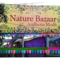 Visite des marchés - Foire à Nature Bazaar Venue avec déjeuner - Lundi 22 novembre 2021 11:00-14:00