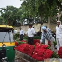 Le marché aux fleurs de Ghazipur