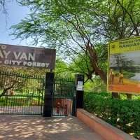 Nature et Découverte -La marche au parc SANJAY VAN 